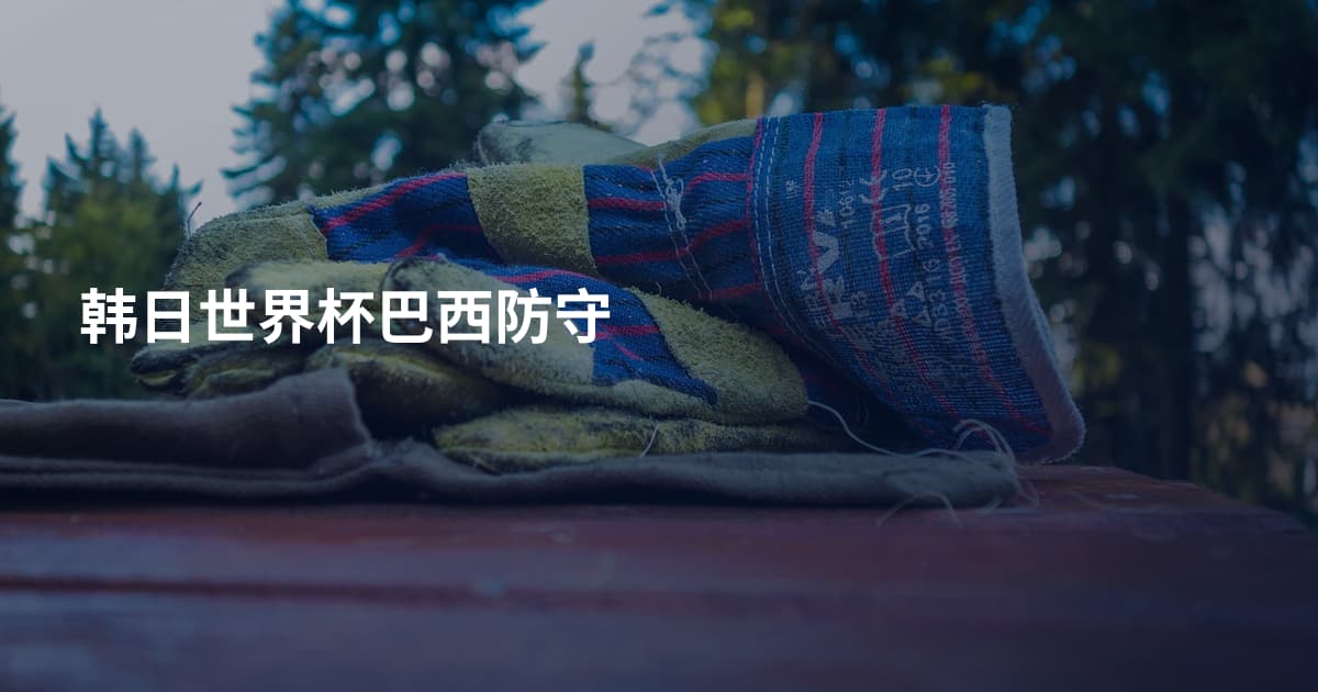 韩日世界杯巴西防守