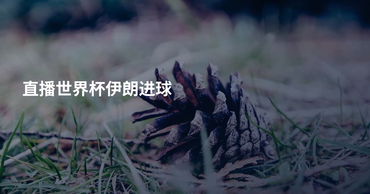 直播世界杯伊朗进球