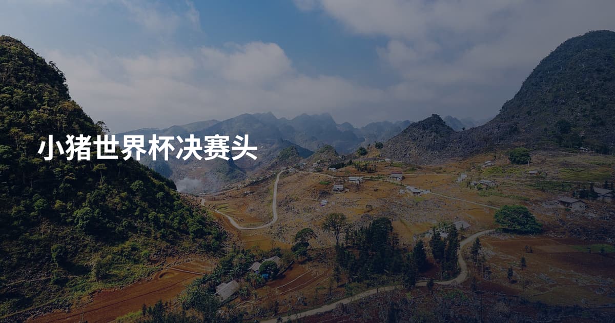 小猪世界杯决赛头