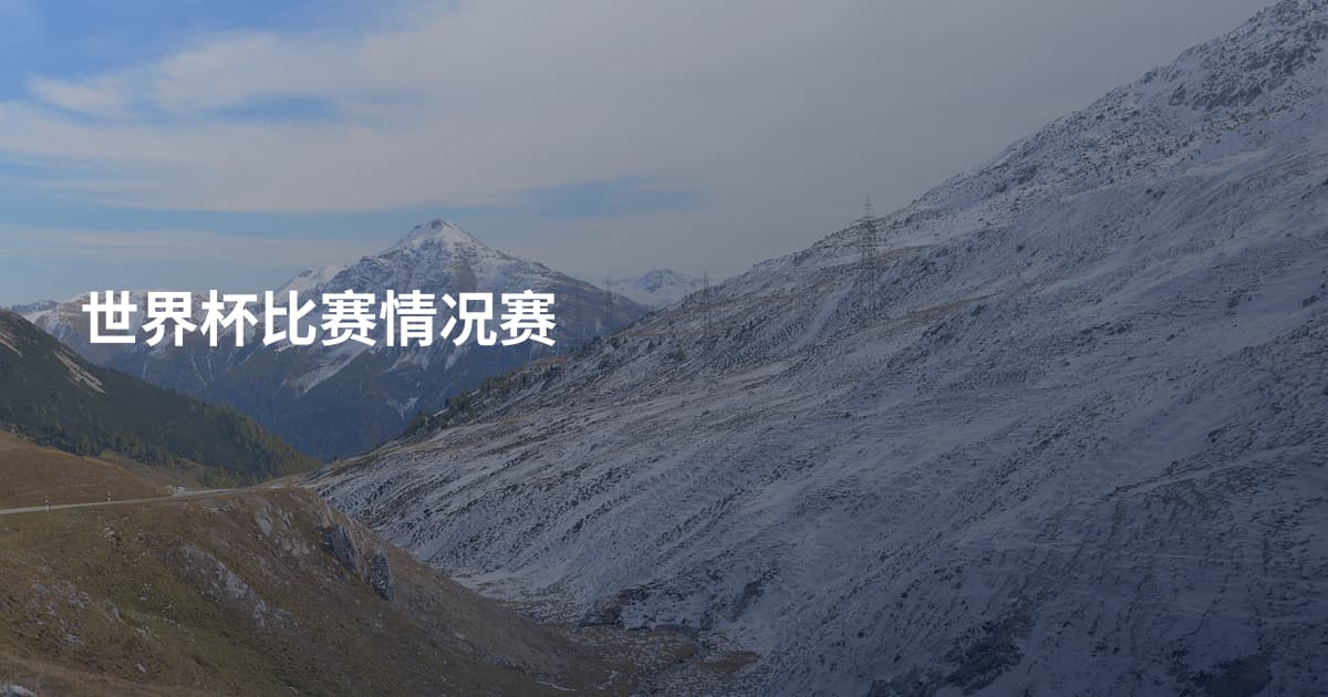 世界杯比赛情况赛