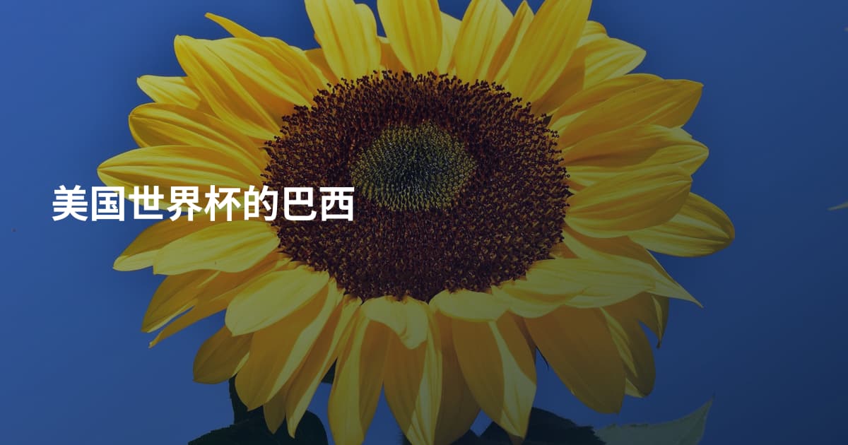 美国世界杯的巴西