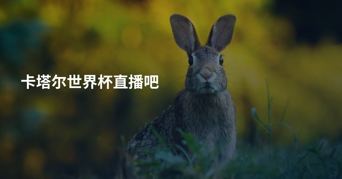 卡塔尔世界杯直播吧