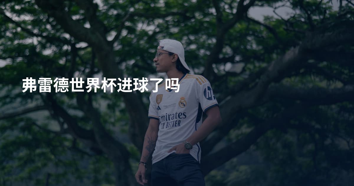 弗雷德世界杯进球了吗