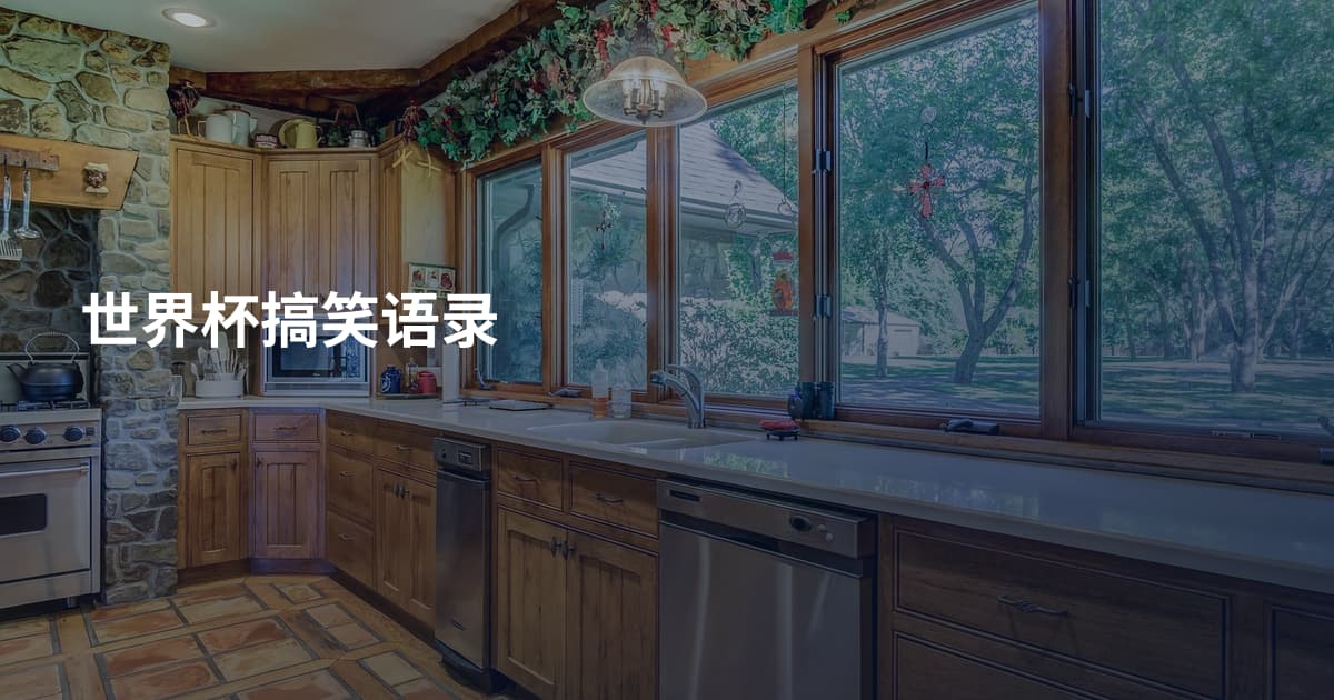 世界杯搞笑语录