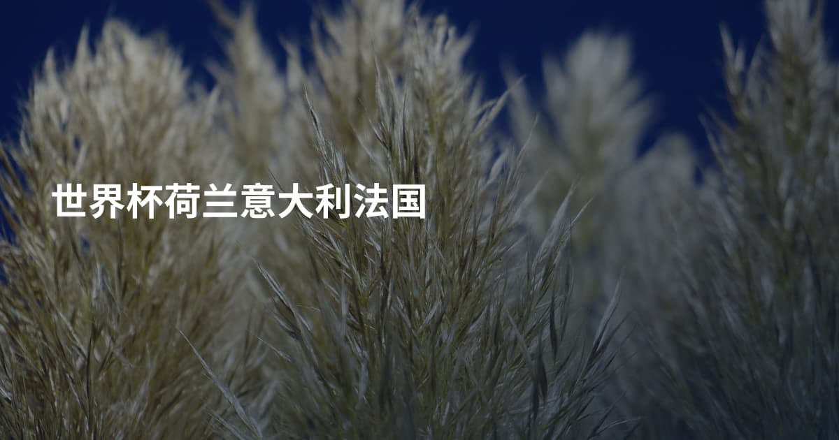 世界杯荷兰意大利法国