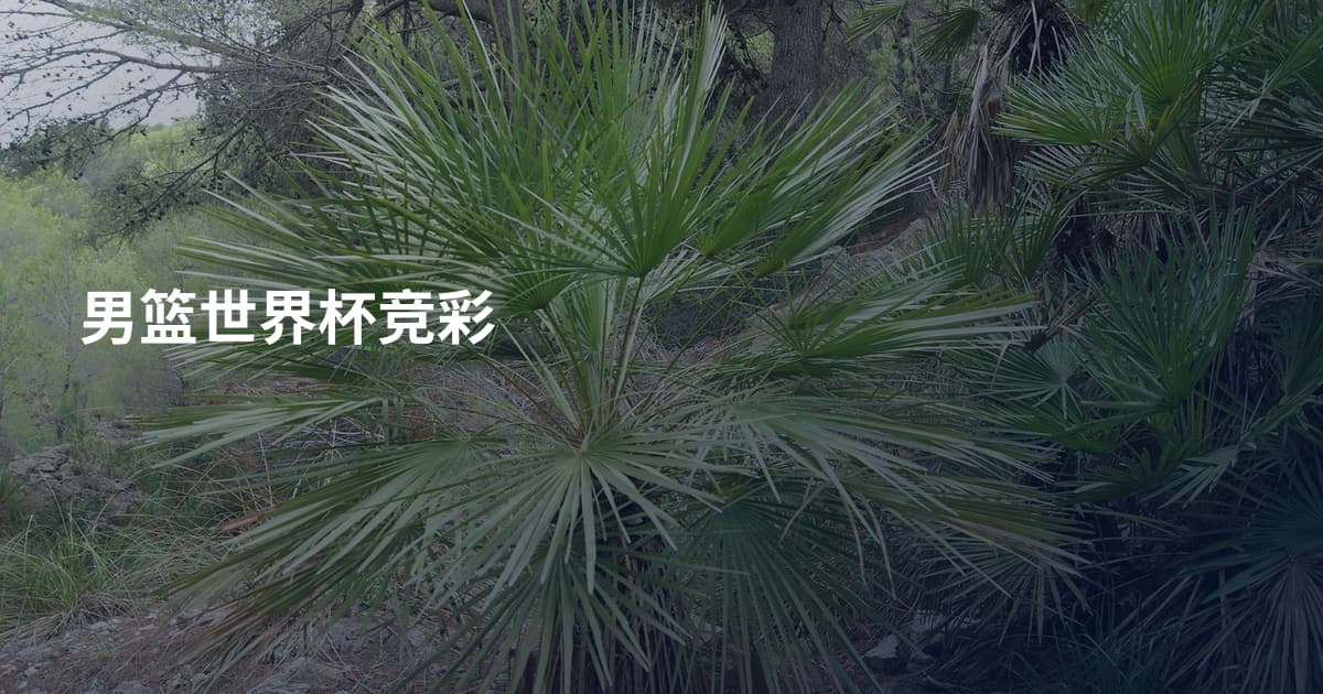 男篮世界杯竞彩