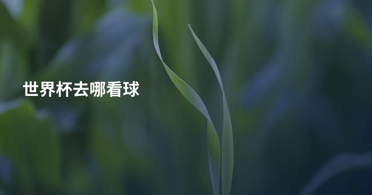 世界杯去哪看球