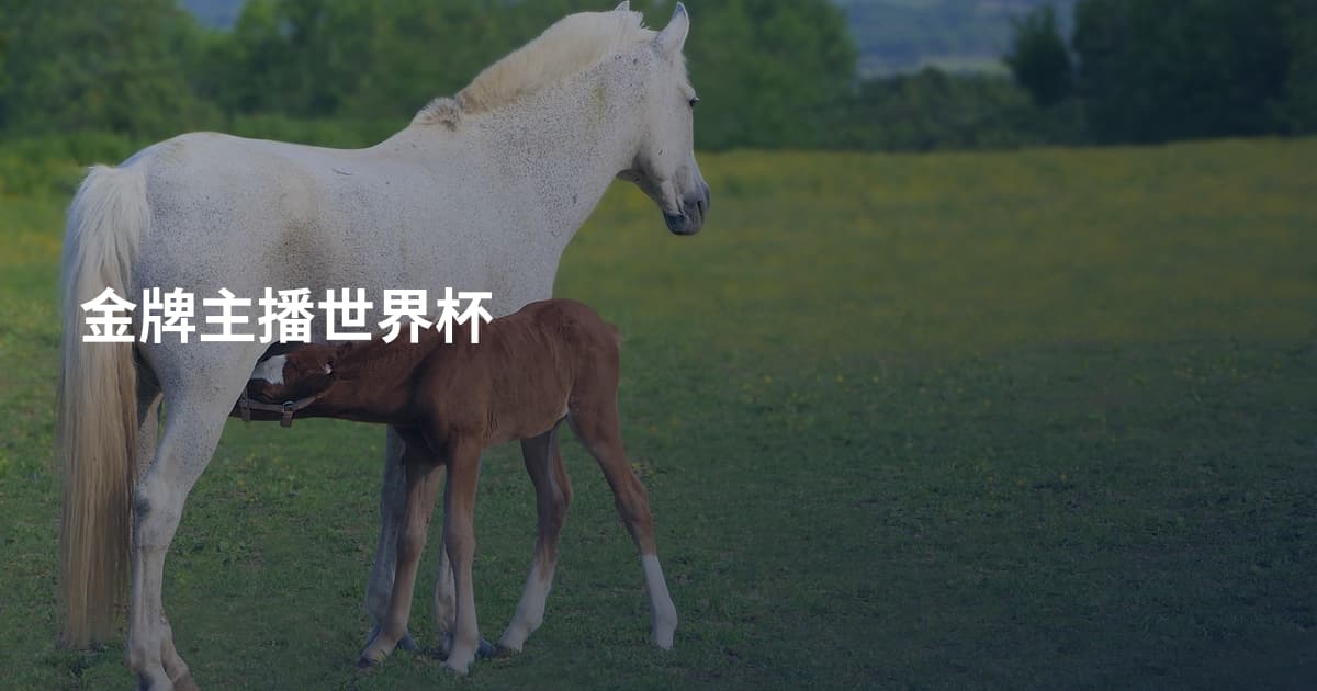 金牌主播世界杯
