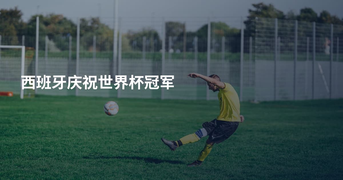 西班牙庆祝世界杯冠军