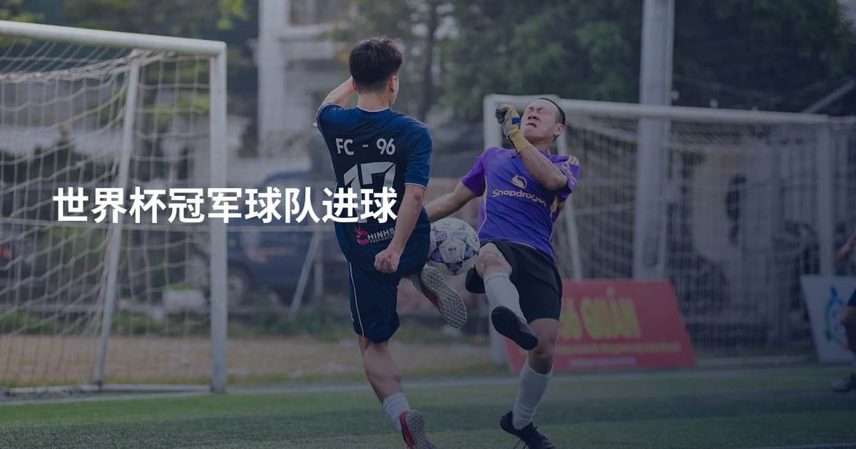 世界杯冠军球队进球