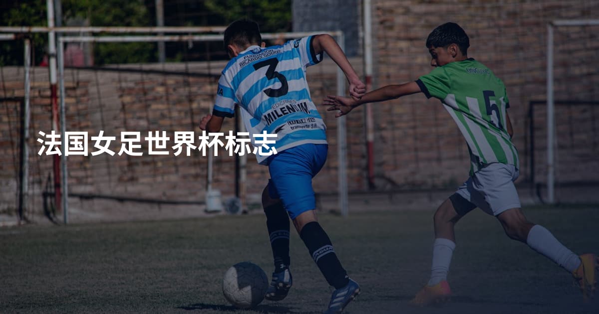 法国女足世界杯标志