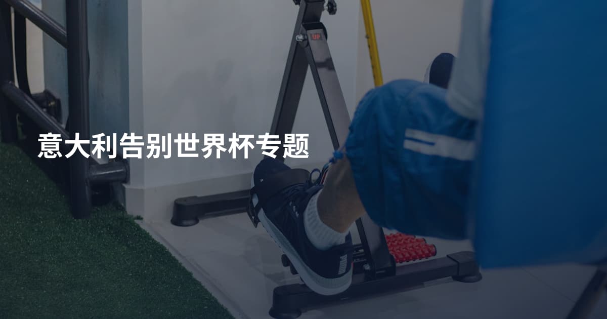 意大利告别世界杯专题