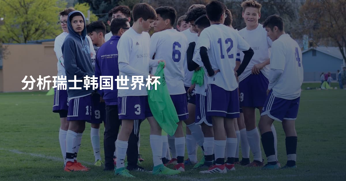 分析瑞士韩国世界杯