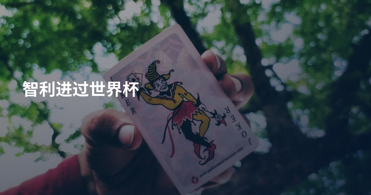 智利进过世界杯