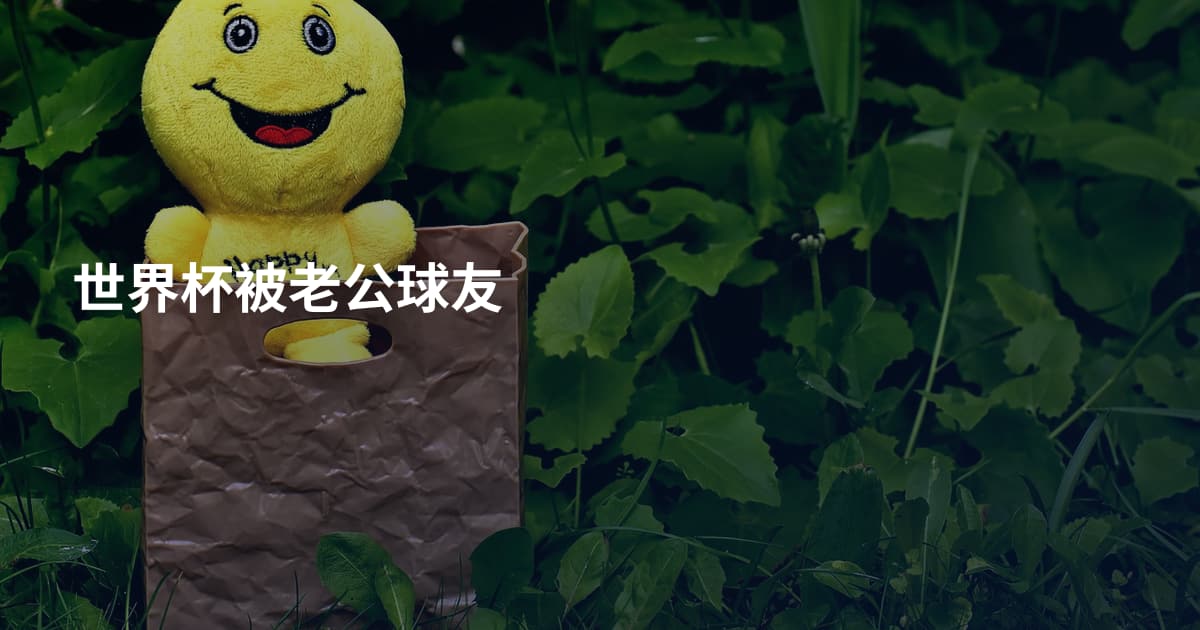 世界杯被老公球友