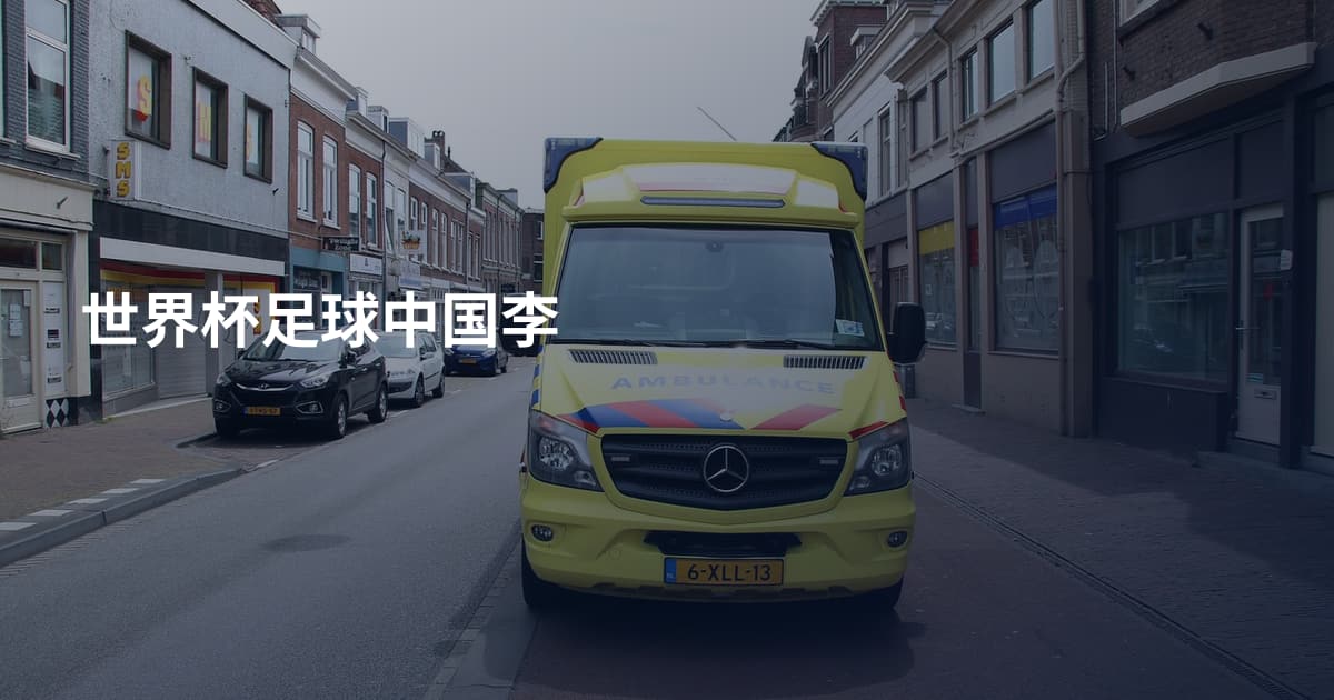 世界杯足球中国李