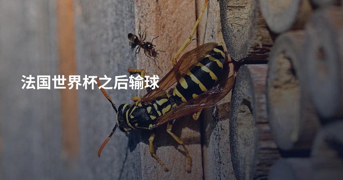 法国世界杯之后输球
