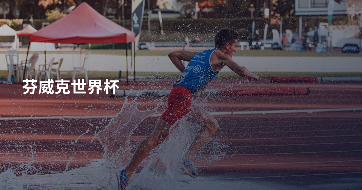 芬威克世界杯