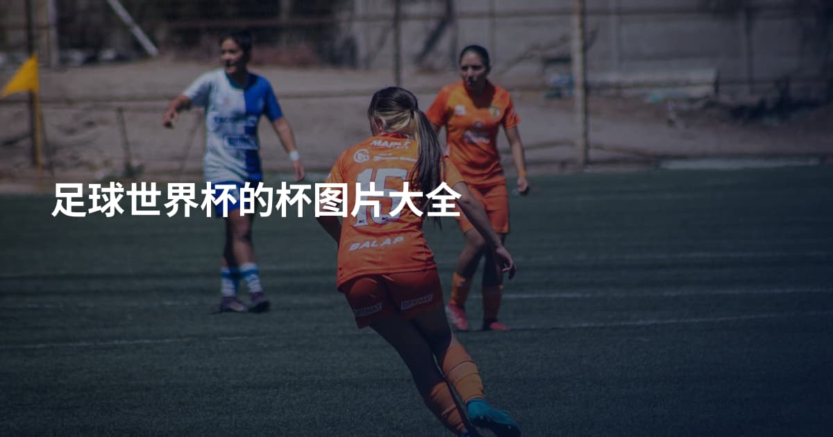 足球世界杯的杯图片大全