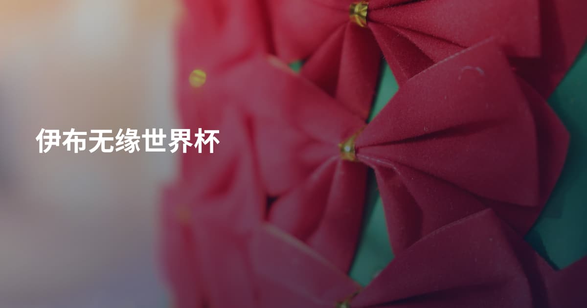 伊布无缘世界杯