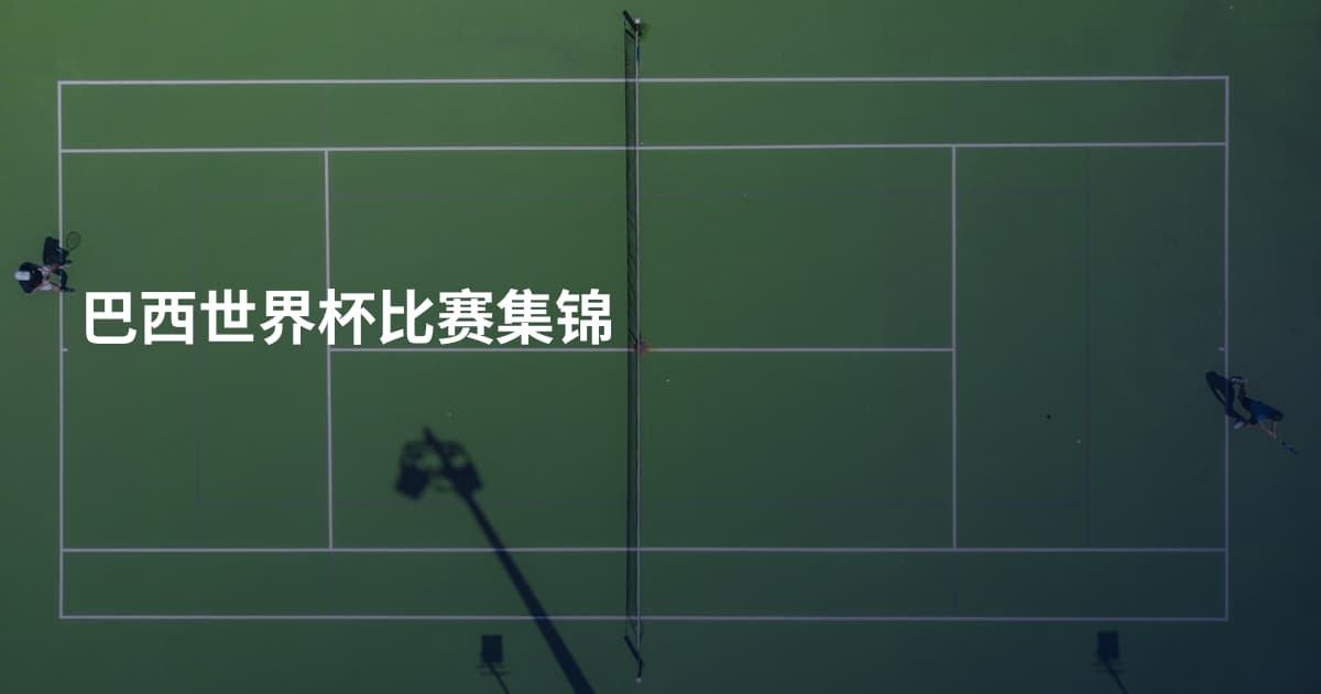 巴西世界杯比赛集锦