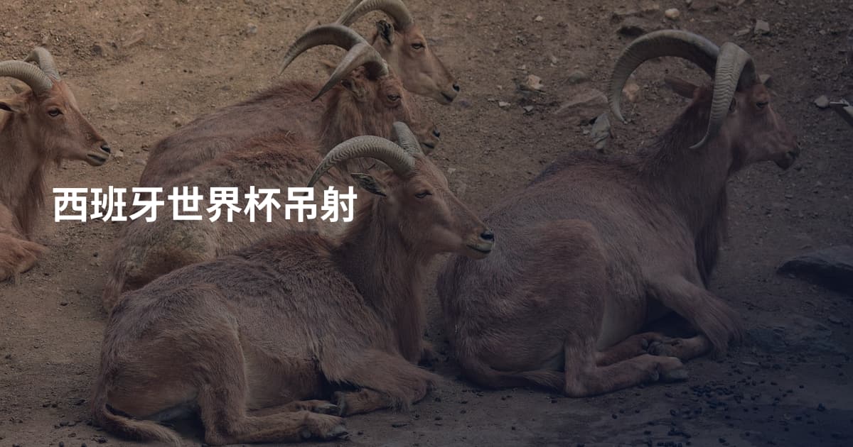 西班牙世界杯吊射