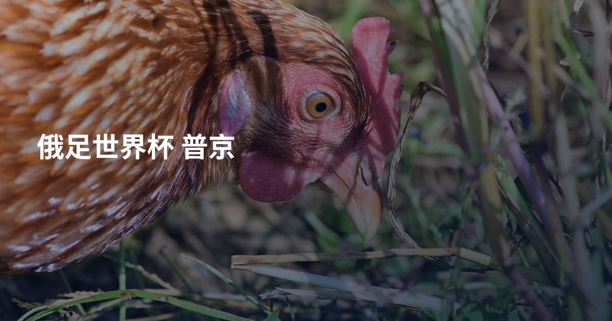 俄足世界杯 普京
