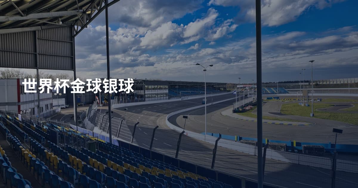 世界杯金球银球