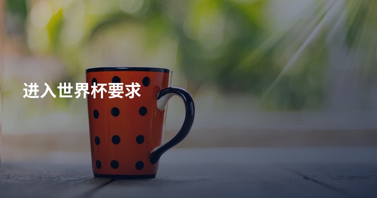 进入世界杯要求