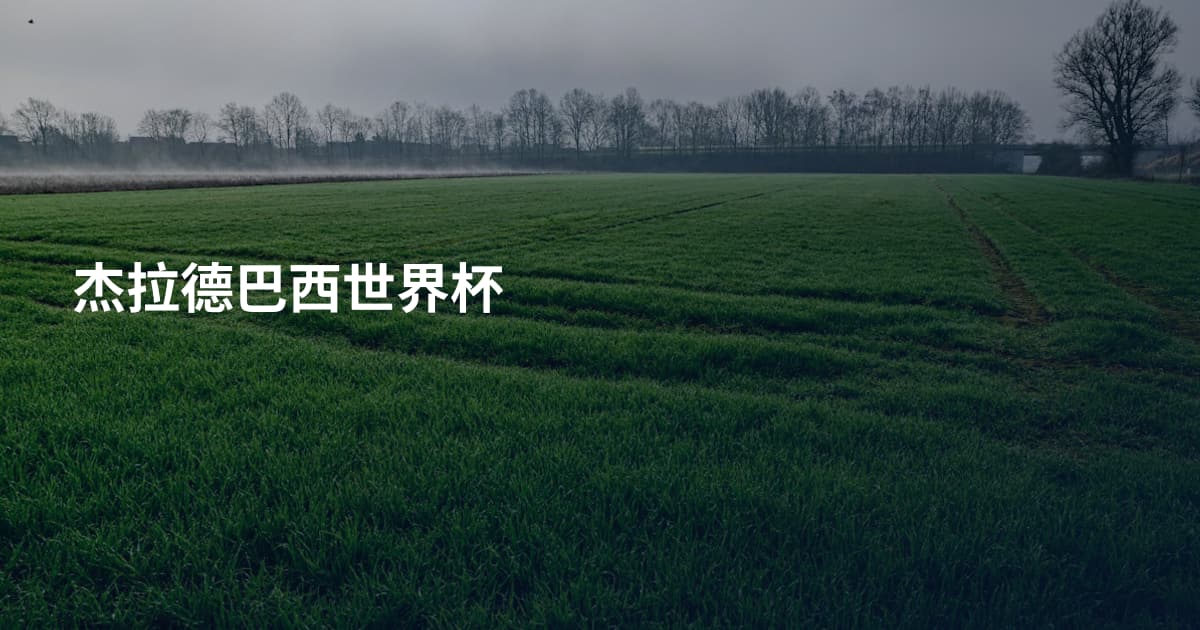 杰拉德巴西世界杯