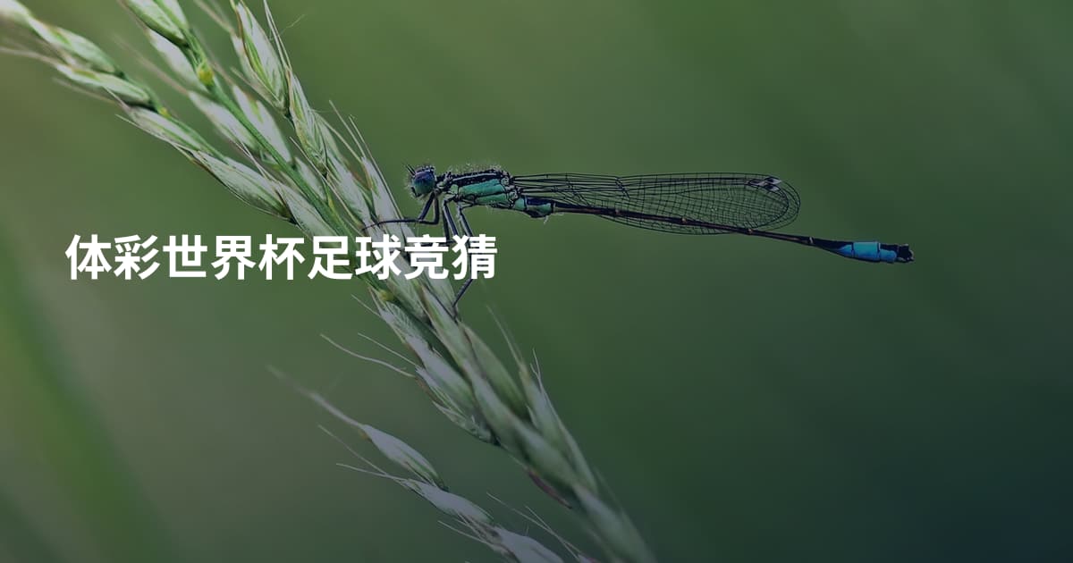 体彩世界杯足球竞猜