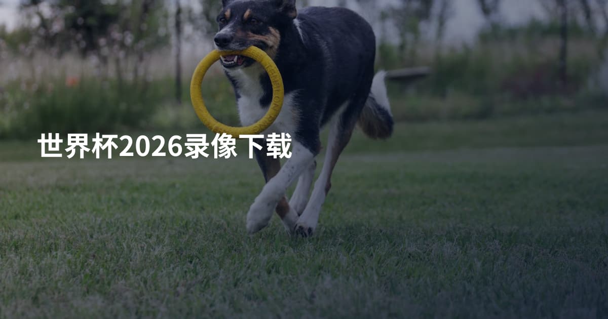 世界杯2026录像下载