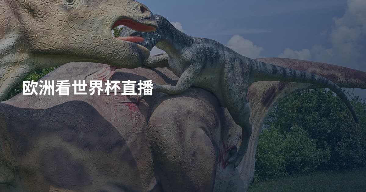 欧洲看世界杯直播