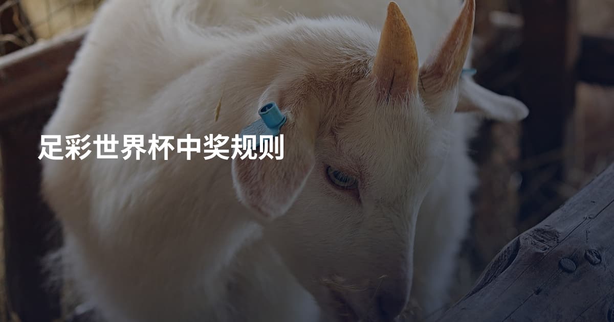 足彩世界杯中奖规则