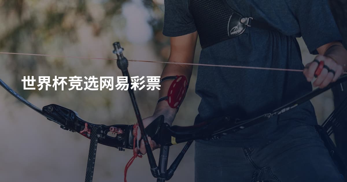 世界杯竞选网易彩票