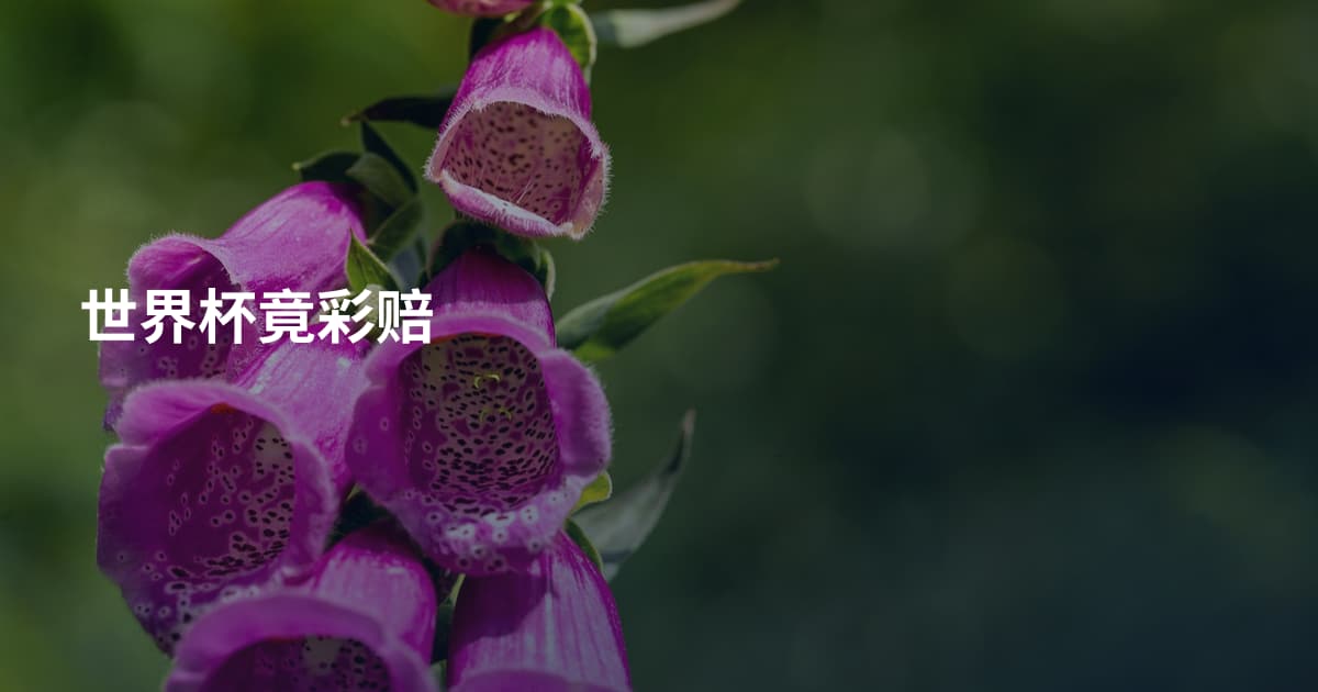 世界杯竟彩赔