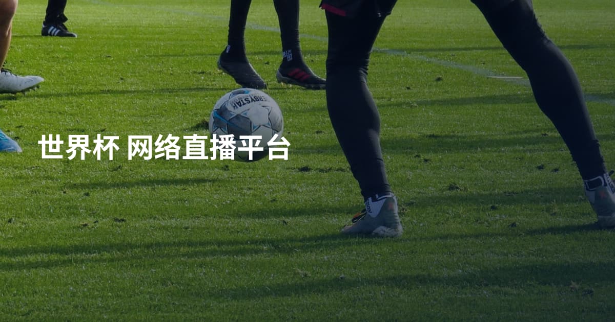 世界杯 网络直播平台