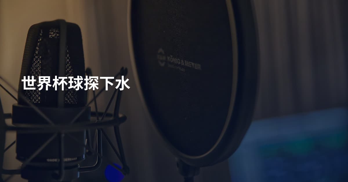 世界杯球探下水