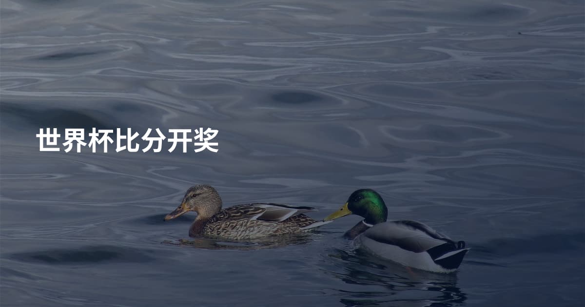 世界杯比分开奖