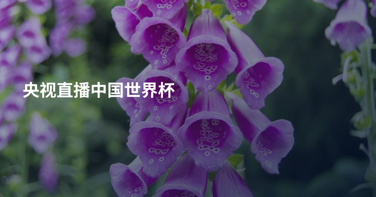 央视直播中国世界杯
