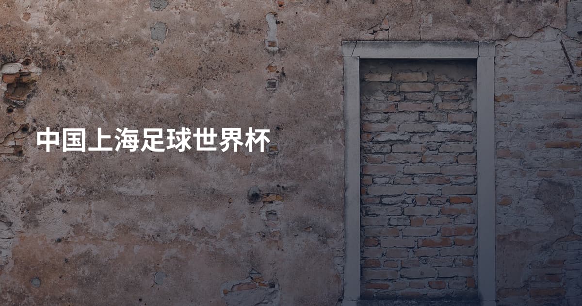 中国上海足球世界杯