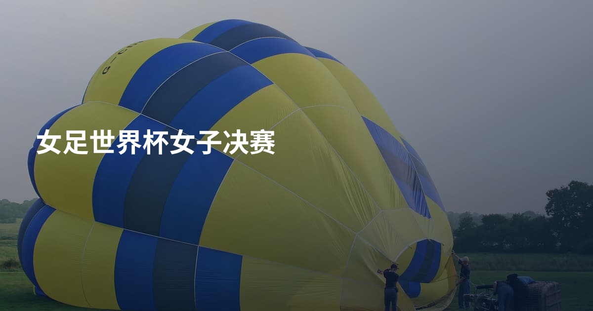 女足世界杯女子决赛