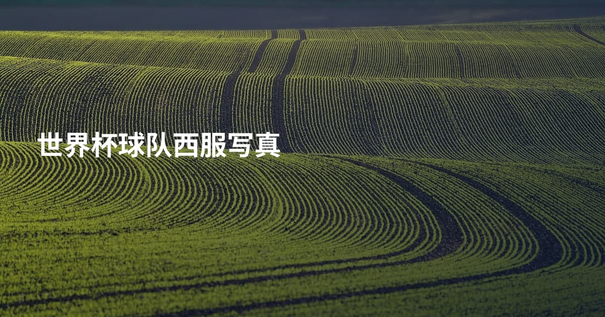 世界杯球队西服写真