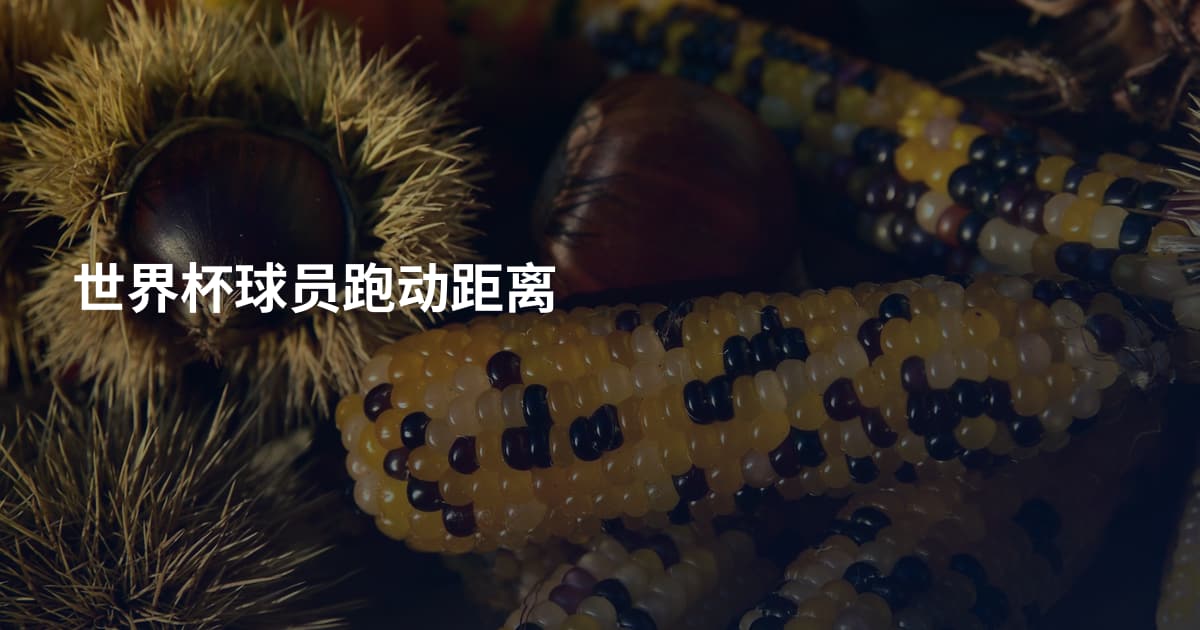 世界杯球员跑动距离