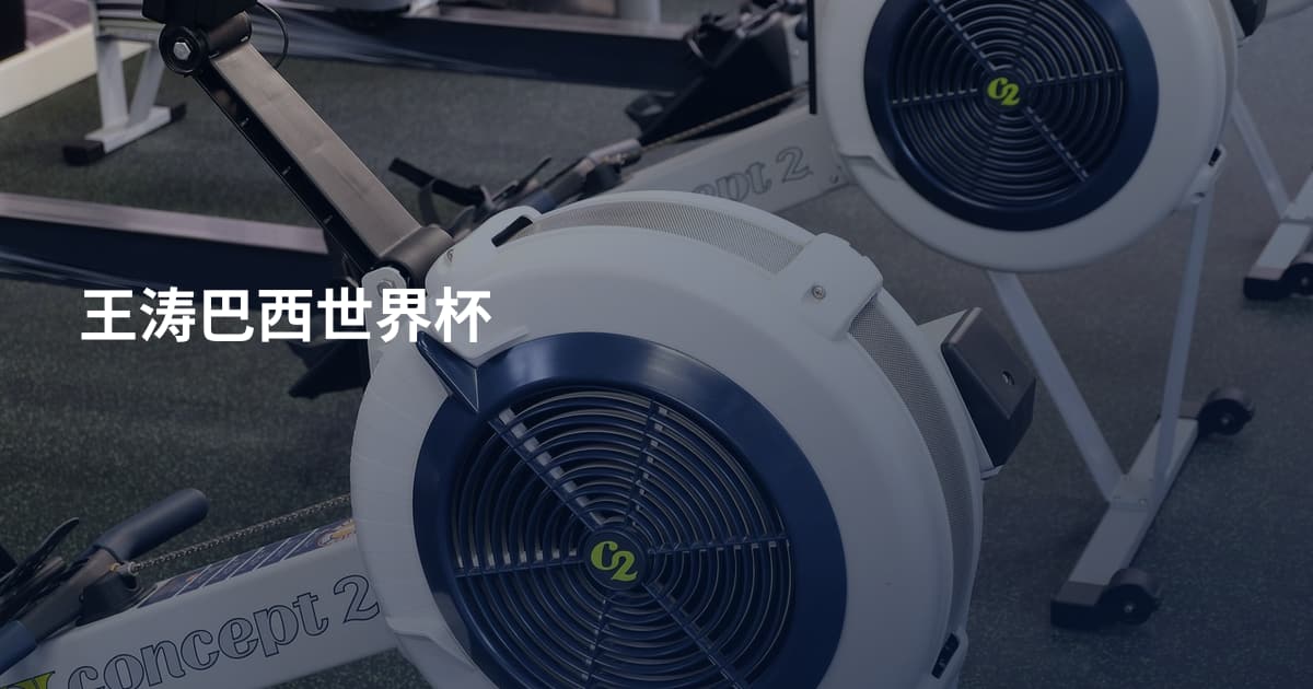 王涛巴西世界杯