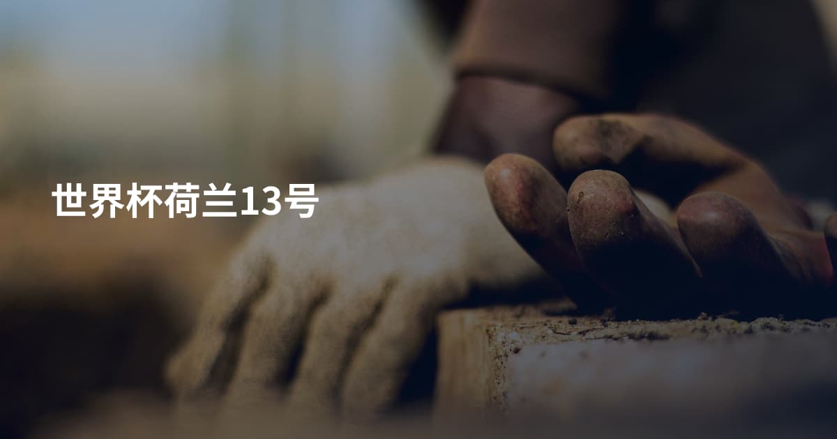 世界杯荷兰13号