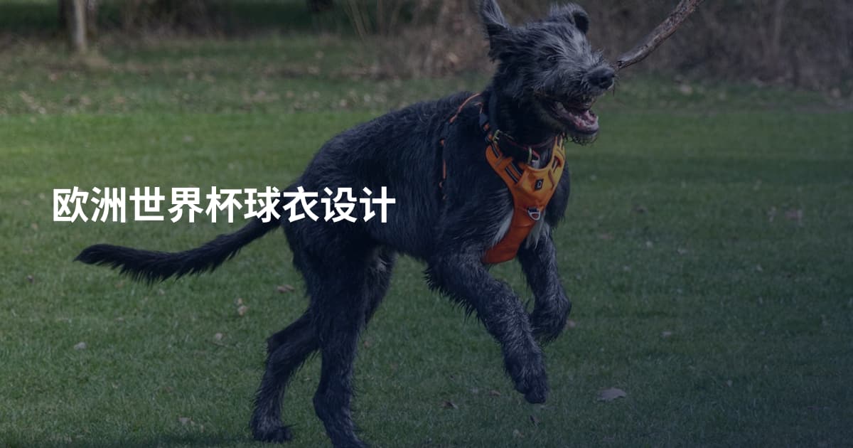 欧洲世界杯球衣设计
