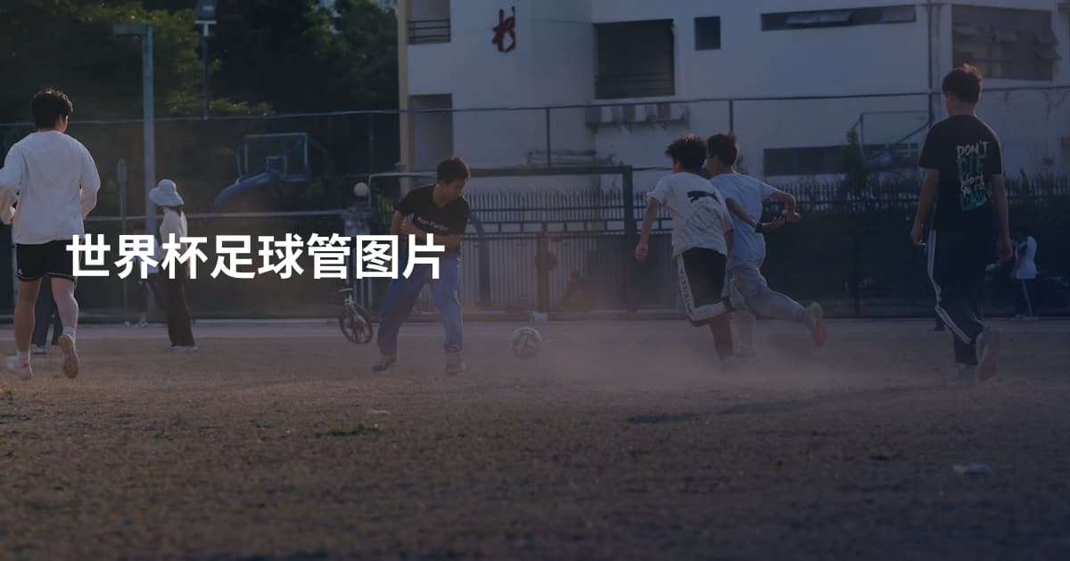 世界杯足球管图片