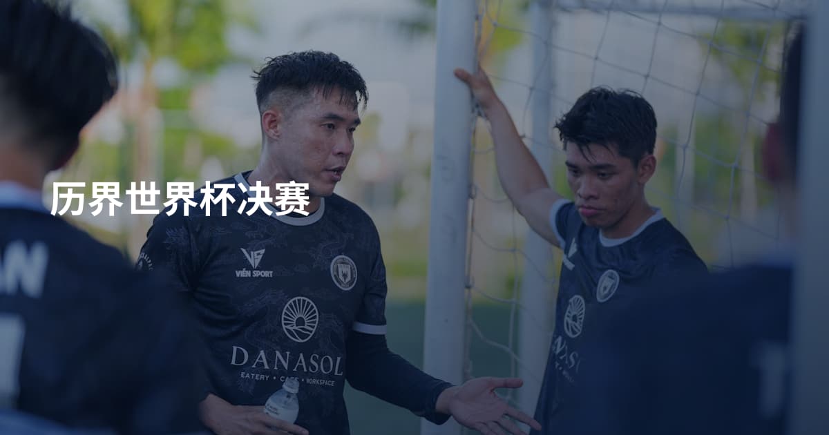 历界世界杯决赛