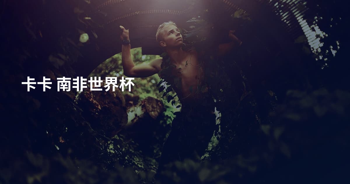 卡卡 南非世界杯